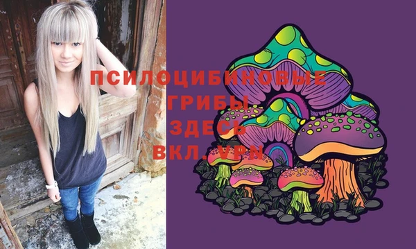 MDMA Алексеевка