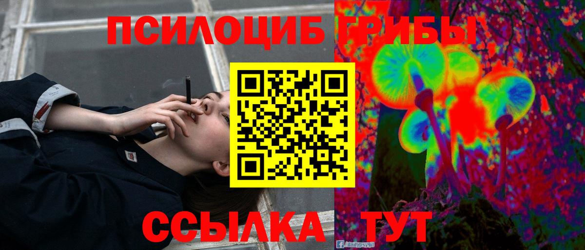 Псилоцибиновые грибы MAGIC MUSHROOMS  Галлюциногенные грибы прущие грибы  цены   Вход с VPN  Нижний Новгород 